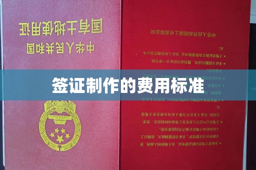 奉贤签证制作的费用标准